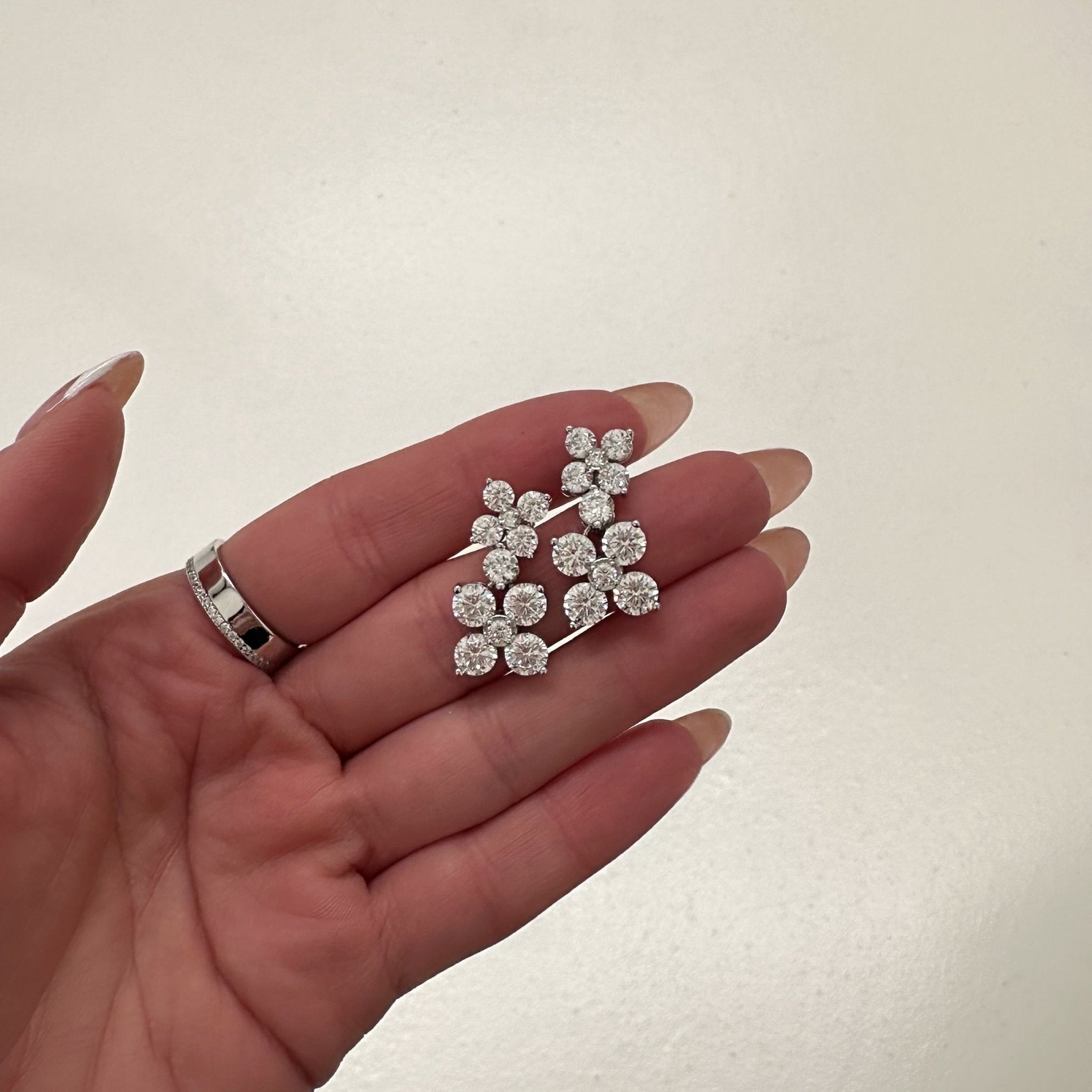 ALEXANDRA EARRINGS - SILVER - BLINGZ