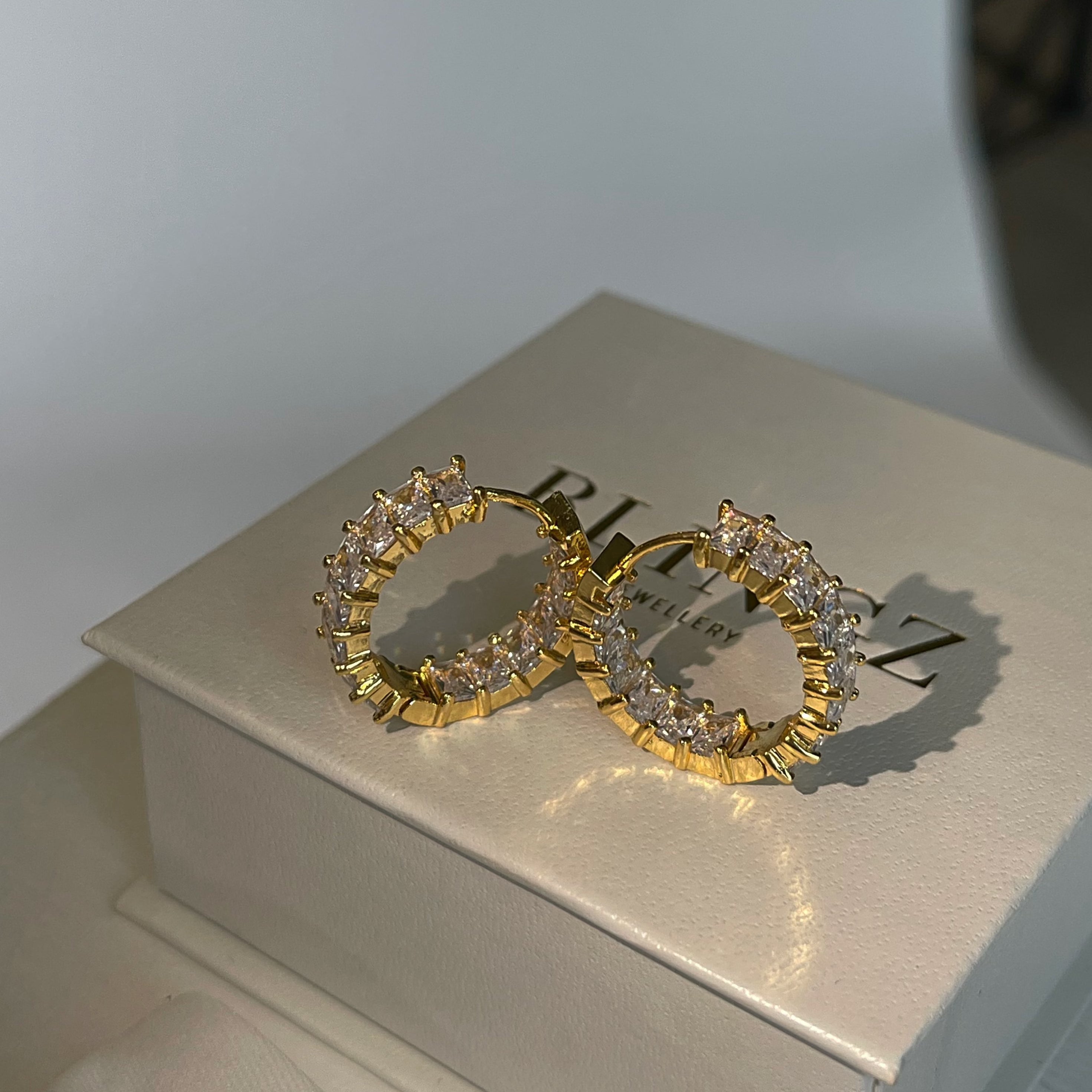 NICOLE HOOP EARRINGS - GOLD